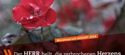 Kirchenkalender Köthen für den August 2024