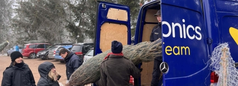 schon einen Weihnachtsbaum?